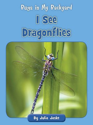 cover image of I See Dragonflies
